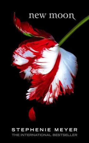 Little, Brown Book Group New Moon