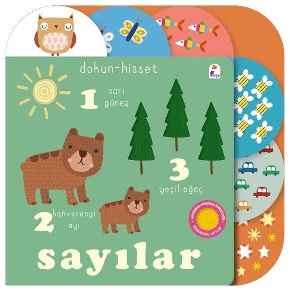 Sayılar - Dokun - Hisset