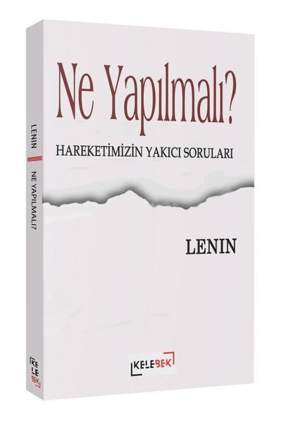 Ne Yapılmalı? Hareketimizin Yakıcı Soruları