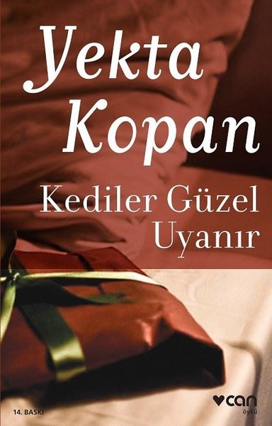 Kediler Güzel Uyanır - Can Yayınları - Image 1