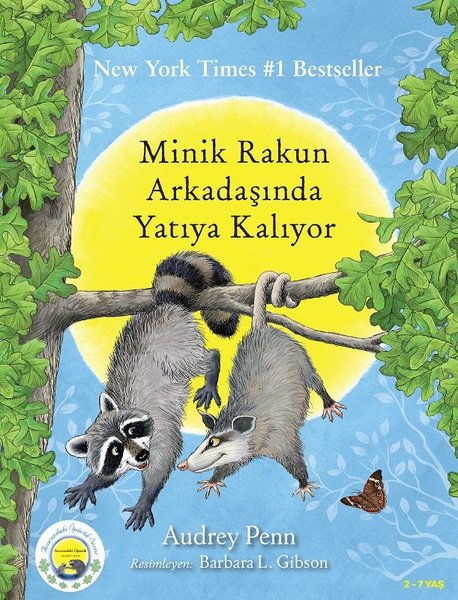 Minik Rakun Arkadaşında Yatıya Kalıyor - Butik - Image 1