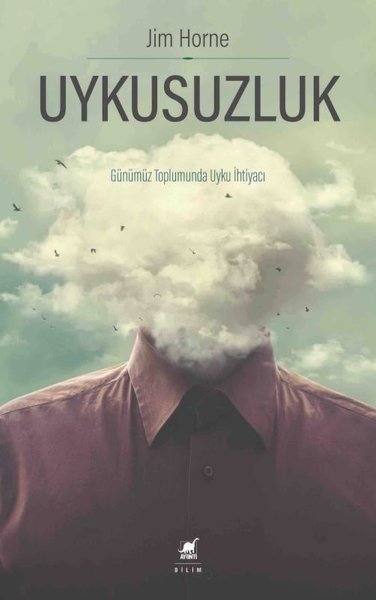 Uykusuzluk - Ayrıntı Yayınları - Image 1