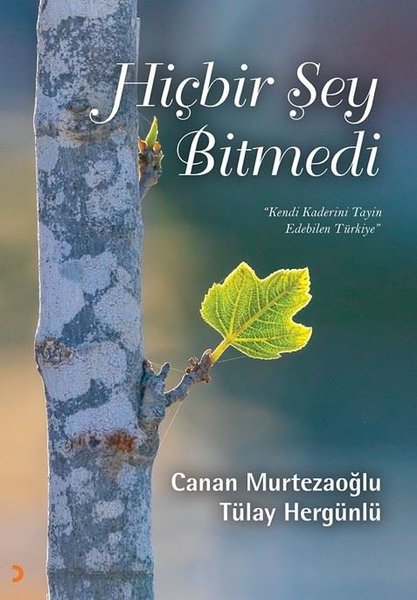 Hiçbir Şey Bitmedi - Kendi Kaderinin Tayin Edebilen Türkiye - Cinius Yayınevi - Image 1