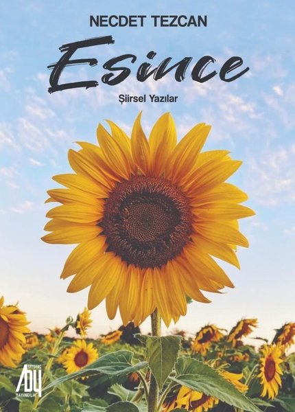 Esince - Şiirsel Yazılar - Baygenç Yayıncılık - Image 1