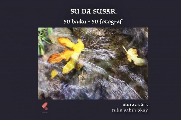 Su da Susar: 50 Haiku-50 Fotoğraf